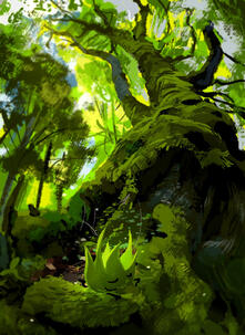 Grassy BFDI Study